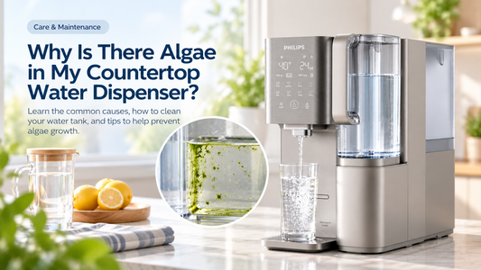 Why Is There Algae in My Countertop Water Dispenser?
